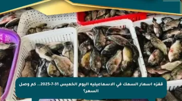 قفزة أسعار السمك في الإسماعيلية اليوم الخميس 31-7-2025.. كم وصل السعر؟